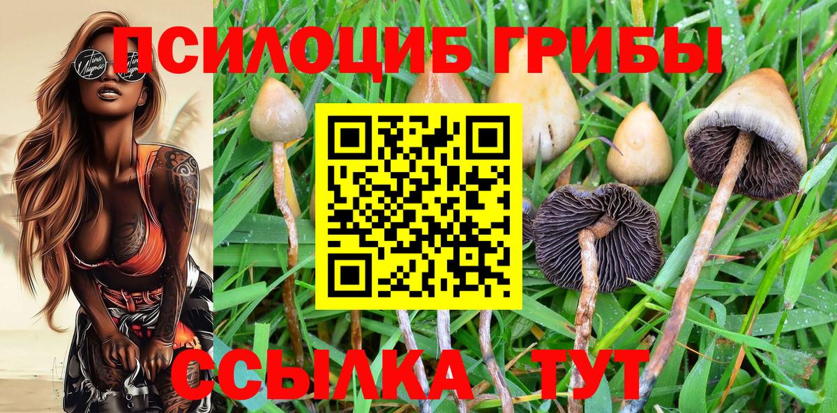 Чайковский  Галлюциногенные грибы ЛСД  Галлюциногенные грибы Psilocybe  где купить наркоту  Вход с VPN 